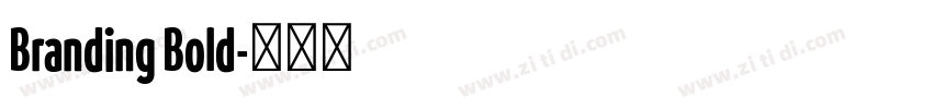 Branding Bold字体转换